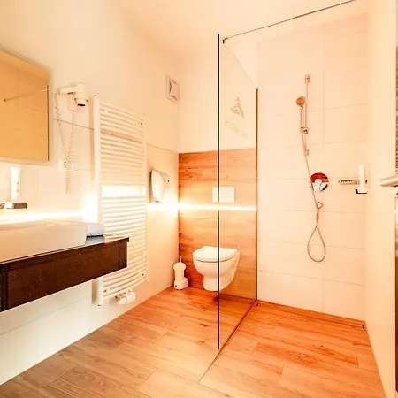 Hotel Panorama Hotel Traunstein 3*