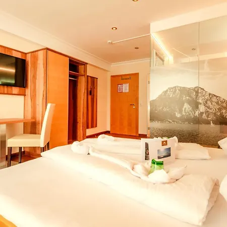 Panorama Hotel Traunstein 3*