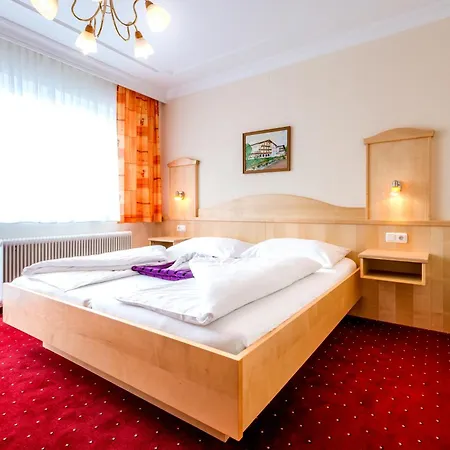 Отель Panorama Hotel Traunstein
