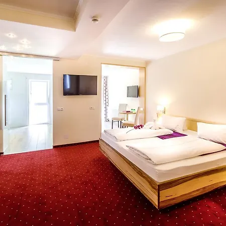 Отель Panorama Hotel Traunstein