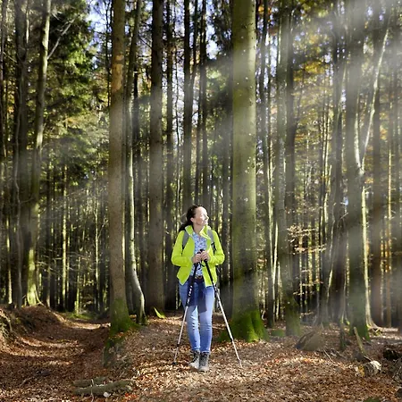 Panorama Hotel Traunstein