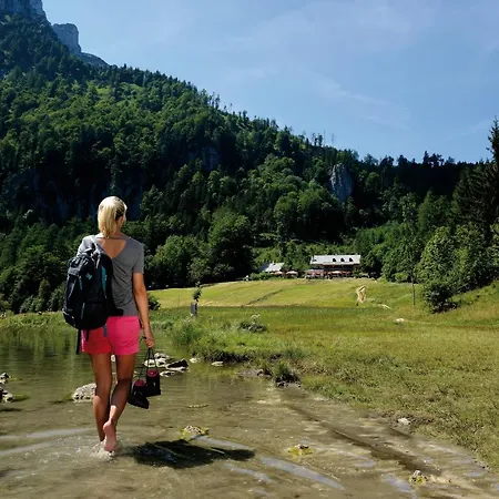 Panorama Hotel Traunstein Отель Альтмюнстер