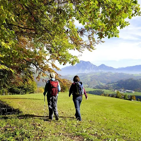 Panorama Traunstein