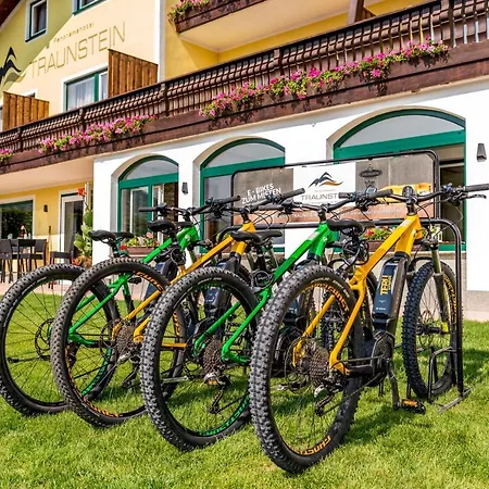 Panorama Hotel Traunstein Отель 3*