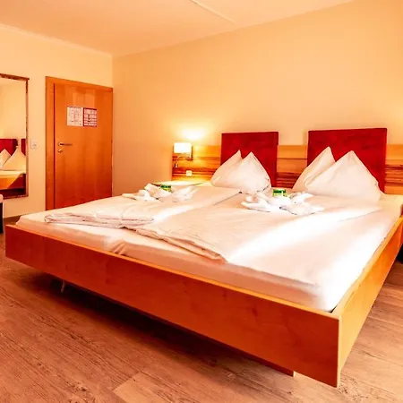 Panorama Hotel Traunstein 3*