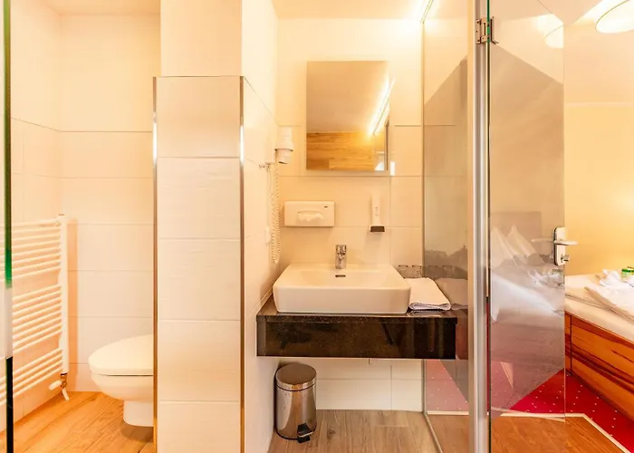 Ξενοδοχείο Panorama Traunstein 3*