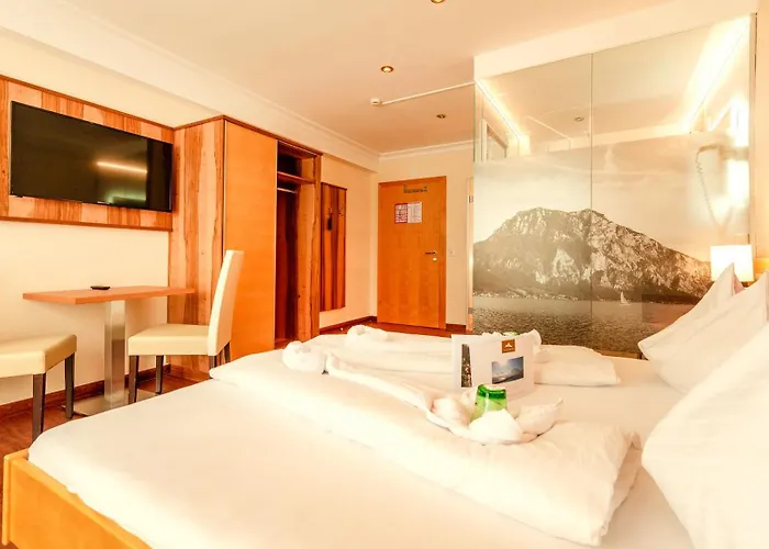 Panorama Hotel Traunstein 3*