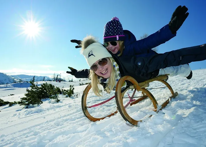 Panorama Hotel Traunstein Hotel Altmuenster