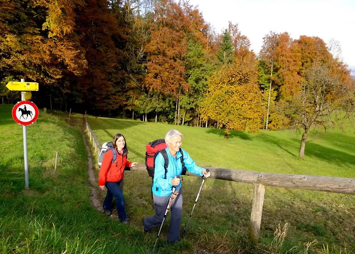 Panorama Hotel Traunstein Hotel