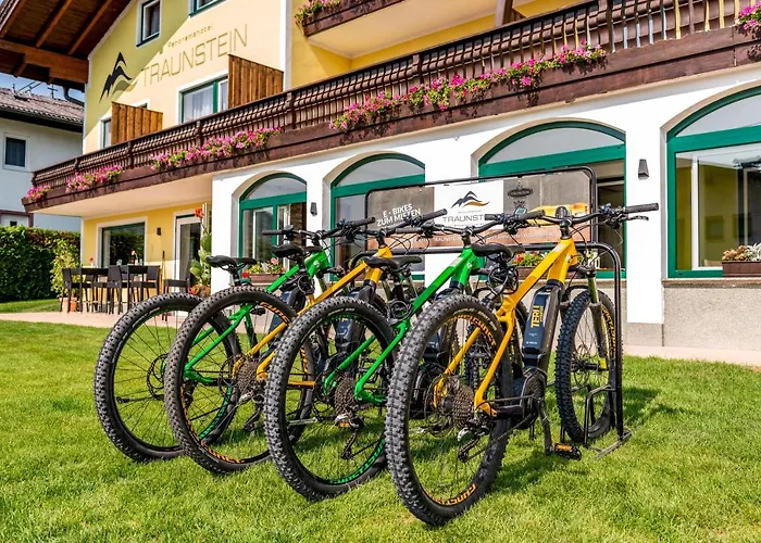 Panorama Hotel Traunstein Hotel 3*