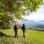 Panorama Traunstein