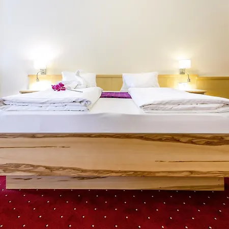 Hotel Panorama Traunstein 3*