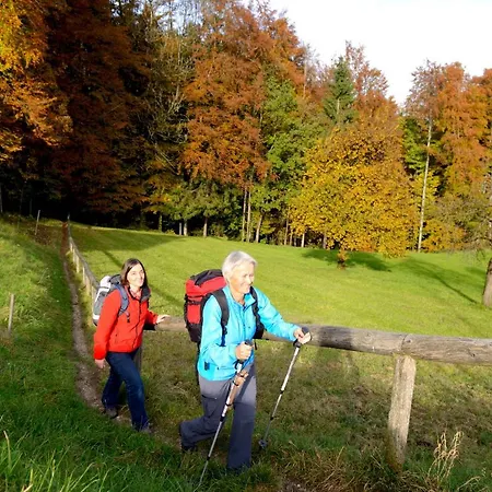Panorama Traunstein Hotel
