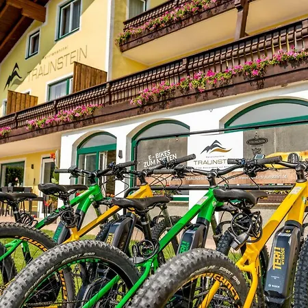 Panorama Traunstein Altmünster