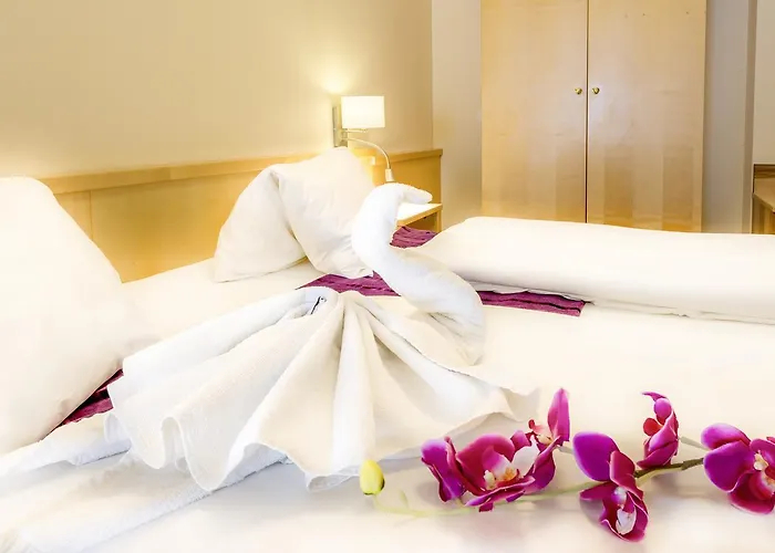 Hotel Panorama Traunstein 3*