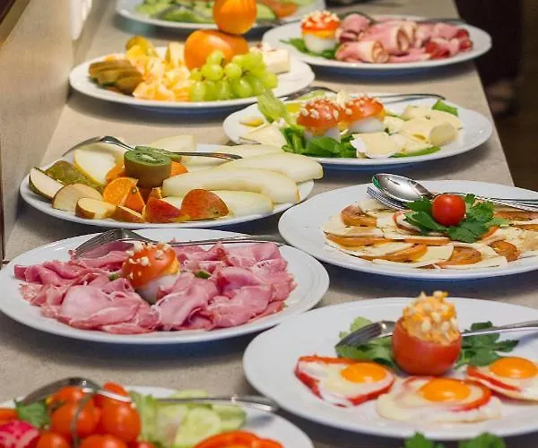 Hotel Panorama Traunstein 3*